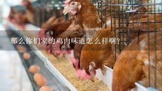 那么你们家的鸡肉味道怎么样啊