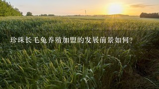 珍珠长毛兔养殖加盟的发展前景如何