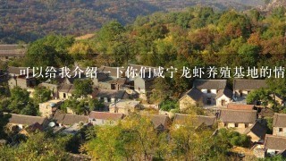 可以给我介绍一下你们咸宁龙虾养殖基地的情况吗