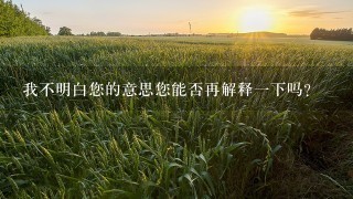 我不明白您的意思您能否再解释一下吗