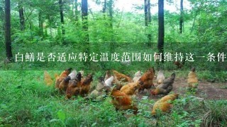 白鳝是否适应特定温度范围如何维持这一条件