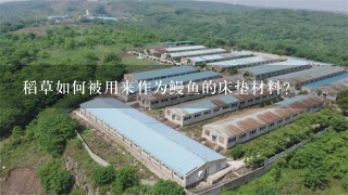 稻草如何被用来作为鳗鱼的床垫材料