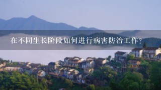 在不同生长阶段如何进行病害防治工作