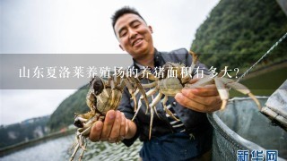 山东夏洛莱养殖场的养猪面积有多大