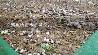 养鳝鱼所需水量多少