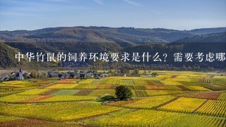 中华竹鼠的饲养环境要求是什么？需要考虑哪些方面的因素？