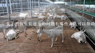 关于黑鱼生长速度的问题有哪些方法可以帮助我们提高它们的成长率吗