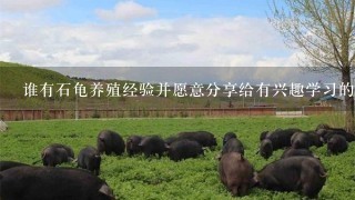 谁有石龟养殖经验并愿意分享给有兴趣学习的养殖户们