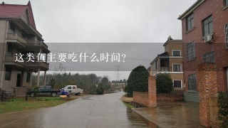 这类鱼主要吃什么时间