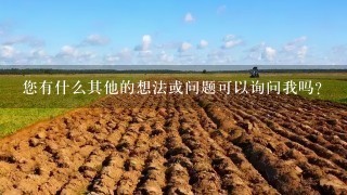 您有什么其他的想法或问题可以询问我吗