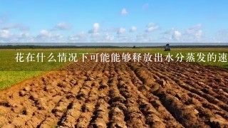 花在什么情况下可能能够释放出水分蒸发的速度比较快相对湿度较高呢