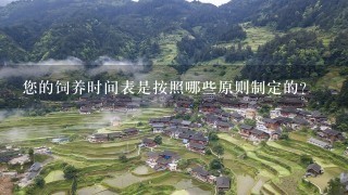 您的饲养时间表是按照哪些原则制定的