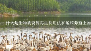 什么是生物质资源再生利用法在蚯蚓养殖上如何应用之