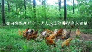 如何确保新鲜空气进入水族箱并提高水质量