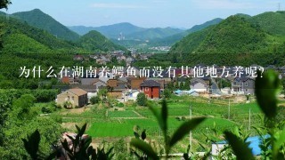 为什么在湖南养鳄鱼而没有其他地方养呢