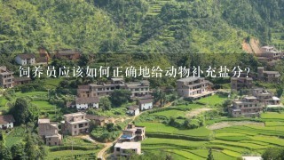 饲养员应该如何正确地给动物补充盐分