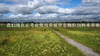 我们现在正考虑使用养殖罗非颗粒饲料来养殖小龙虾您能否给出一些建议或者注意事项