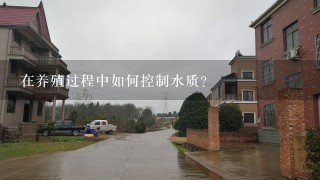 在养殖过程中如何控制水质