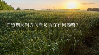 养殖期间饲养饲料是否存在问题吗