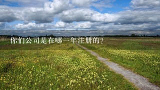 你们公司是在哪一年注册的