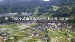 您了解哪个城市在麻鸭养殖上取得了成功