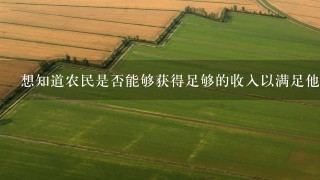 想知道农民是否能够获得足够的收入以满足他们的日常需求和未来的生活目标