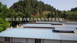 为什么需要内蒙古肉兔作为养殖基地