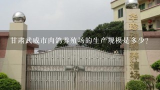 甘肃武威市肉鸽养殖场的生产规模是多少