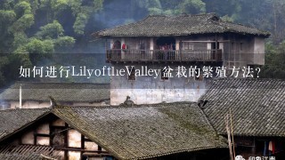 如何进行LilyoftheValley盆栽的繁殖方法