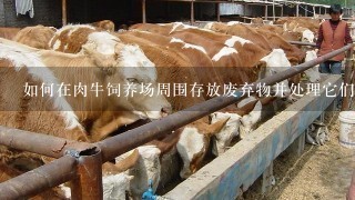 如何在肉牛饲养场周围存放废弃物并处理它们以避免污染我们的食物链中去