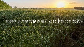 目前在贵州省竹鼠养殖产业化中有没有发展较地区吗