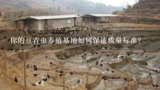 你的豆青虫养殖基地如何保证质量标准