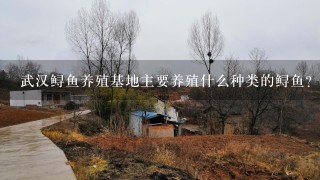 武汉鲟鱼养殖基地主要养殖什么种类的鲟鱼