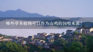 哪些草本植物可以作为山鸡的饲喂来源