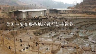 美国主要在哪些地区进行奶牛饲养