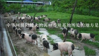 中华网濮阳最大的泥鳅养殖基地所处的地方是什么地方