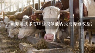 黑鱼养殖技术有哪些突破能否提高养殖效益