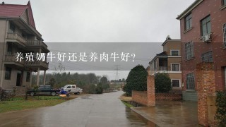 养殖奶牛好还是养肉牛好