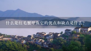 什么是红毛蟹甲鱼它的优点和缺点是什么