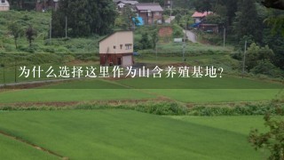 为什么选择这里作为山含养殖基地