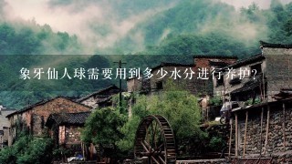 象牙仙人球需要用到多少水分进行养护