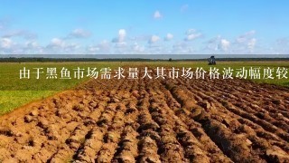 由于黑鱼市场需求量大其市场价格波动幅度较小相较于其他鱼类然而价格的波动取决于季节地理位置和供应与需求之间的平衡如果养殖成本高昂如何在生产方面提高效率