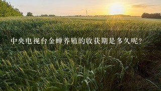 中央电视台金蝉养殖的收获期是多久呢