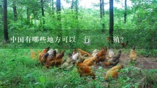 中国有哪些地方可以進行鮑魚養殖