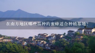 在南方地区哪些品种的蜜蜂适合种植基地