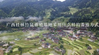 广西桂林竹鼠养殖基地采用什么样的养殖方式