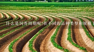 什么是饲养周期呢在不同的品种类型和规模下会有怎样的差异吗