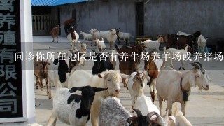 问诊你所在地区是否有养牛场养羊场或养猪场等养畜业发展情况如何