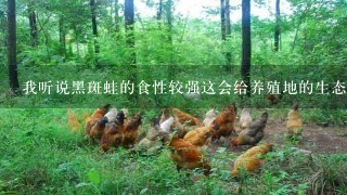 我听说黑斑蛙的食性较强这会给养殖地的生态环境造成什么影响吗