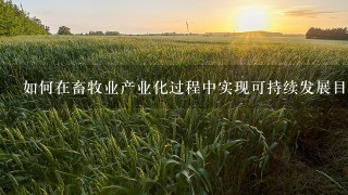 如何在畜牧业产业化过程中实现可持续发展目标